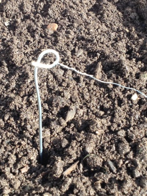 Wire rod sticking into earth and connected to thin metal wire for grounding 