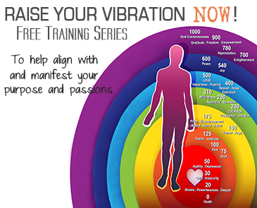Raise Your Vibration Now Free Training Series